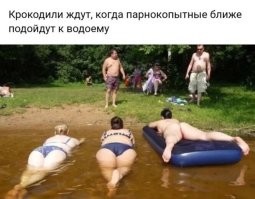 Спереди может и крокодилы, но сзади точно бегемоты