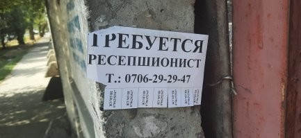 С лёгким запахом планктона: офисные будни