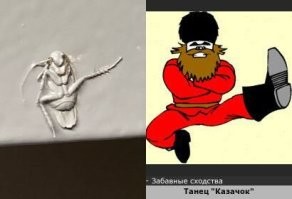 Чем вам таракан не нравится?