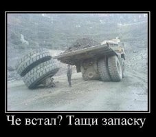 17 громадин, чей размер можно оценить только в сравнении