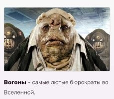 Так вот они откуда!