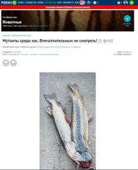Отрастила за три с половиной года...