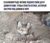 Смешные и познавательные картинки