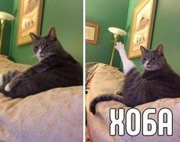 17 случаев, когда арендованное жильё преподнесло сюрпризы