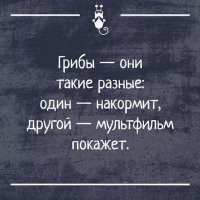 В МГУ высмеяли английских учёных