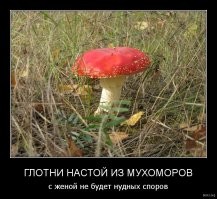 В МГУ высмеяли английских учёных