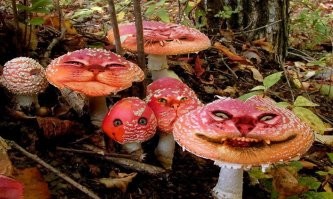 В МГУ высмеяли английских учёных