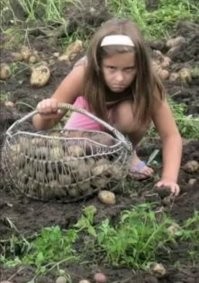 Уже совсем скоро: дачный сезон на носу, и он обещает быть интересным