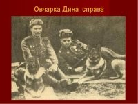 Собаки-герои на полях сражений ВОВ
