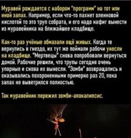 Напомнило анекдот:
Мужик узнал, что ему жена изменяет, едет в печали, на своей волне и тут
-бац, мента сбивает... что делать? Мента в багажник, проезжает мимо
кладбища, видит мужик сидит, курит... ну он к нему обращается :
-Выручай, где нибудь здесь его прикопай, а я тебе 100$(последние )
-Хорошо
Ну мужик только выехал с кладбища (такой шок, мента убил, жена ушла ) и тут снова какой то мент под колеса попадает (всё, полный аут, )он обратно на кладбище (копач был занят и он ему втихаря снова подбрасывает мента). И смывается...
Копач приходит, видит труп, думает"Что за херня? "(с бодуна ),но делать нечего, пошел снова закапывать...
А рядом с кладбищем был пост дпс, литеха видит машина туда сюда на кладбище ездит, думает-Что-то не то, надо разобраться...
Заходит на кладбище и видит возвращающегося мужика-копача, спрашивает у него
-Что у вас тут происходит?
Мужик ему не долго думая лопатой между глаз -ХРЯСЬ:
-ДА ТЫ БЛ@ТЬ,СЕГОДНЯ УЛЯЖЕШЬСЯ ИЛИ НЕТ?