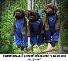 Надо дочкам разослать ,чтоб внуков не доверили )))