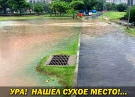 Чудо-остров )