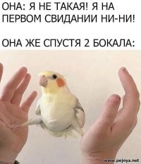 Девушка призналась, что ходила на свидания только ради обеда