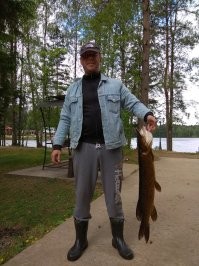 Щука нетипичная. Потому что – Копчёная