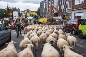 20+ необычных уличных кадров от бельгийского фотографа