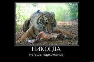 Не ищите здесь смысл. Здесь в основном маразм