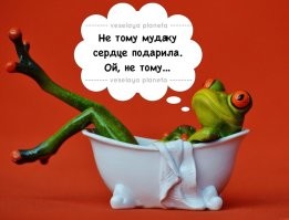 Не ищите здесь смысл. Здесь в основном маразм