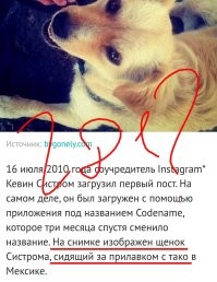 50 знаменитых первых снимков из истории фотографии