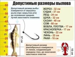 Вот так насмотрятся интернетов а потом на штраф нарвутся. Схема и текст не соответствуют.