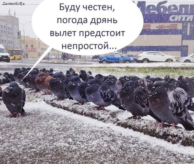 Коротко о ситуации в США