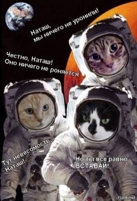 Не ищите здесь смысл. Здесь в основном маразм