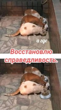 Смешные и познавательные картинки