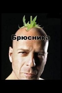 7 интересных фактов о Брюсе Уиллисе