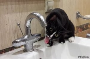 С добрым утром!