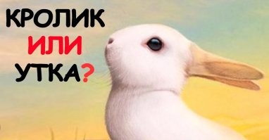 Смешные комментарии из&nbsp;социальных сетей-59
