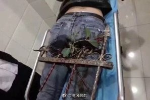 22 любопытных кадра, которыми поделились пользователи сети