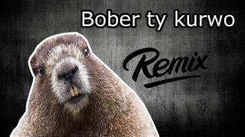 Как поляк бобра повстречал