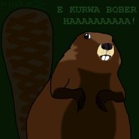 Как поляк бобра повстречал
