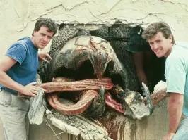 Неуловимый олгой-хорхой: существует ли сюрреалистичный страж пустынь на самом деле?