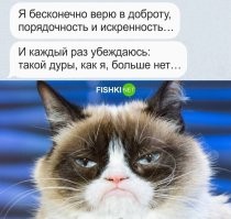 Принудительное выселение жабы