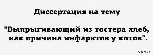 Внезапная поломка вентилятора шокировала котов
