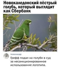 Не хочется расстраивать такого милашку, но он теперь на западе под санкциями