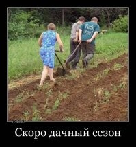 Не ищите здесь смысл. Здесь в основном маразм