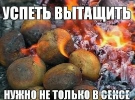 Не ищите здесь смысл. Здесь в основном маразм