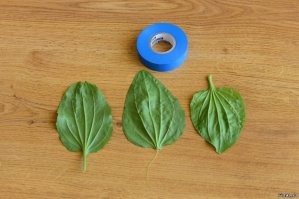 Если вместе - открытые переломы сращивает...