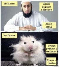 Дурак датский, которому закон писан, псалтырь не читан, а коран - сожжен