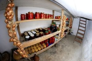 Подвал это бункер который действительно может пригодится