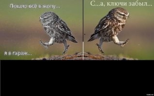 Не ищите здесь смысл. Здесь в основном маразм
