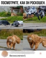 Божественнен!