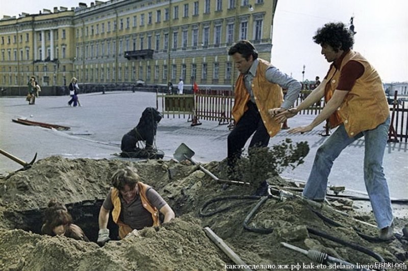 Почему в Санкт-Петербурге так много львов?