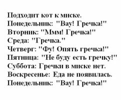 Пёс ест свой корм после особого ритуала