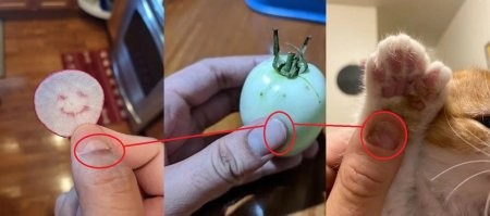 когда плохо моешь руки