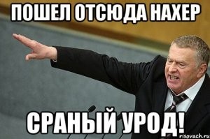 Селезень показал котам кто в доме хозяин