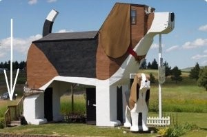 А куда ведёт лестница.