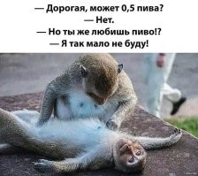 Алкопост на вечер этой пятницы