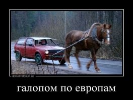 Немцев попросили реже мыться ради экономии энергии